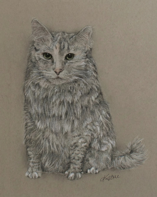 Gray Cat